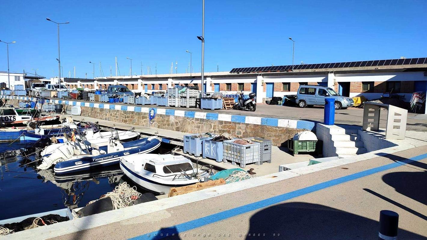 05 - Rosas - Port.jpg